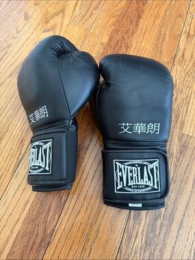 Everlast 8 oz Bag Gloves With Japanese Script